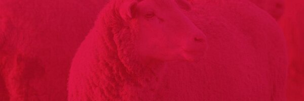 DuffieldsFeeds Profile Banner