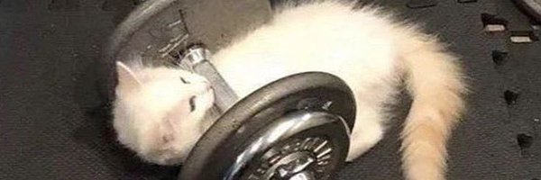 curvethots Profile Banner