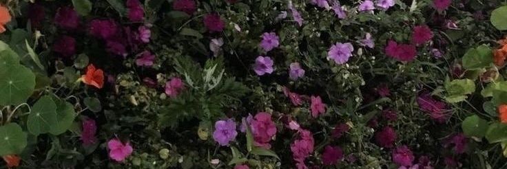 txnqaz's profile banner image