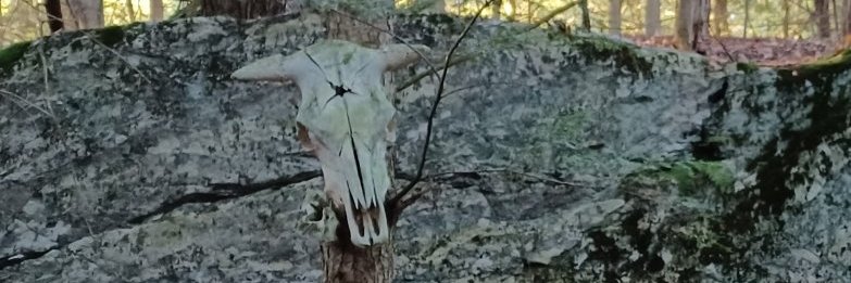 BennettVermont's profile banner image