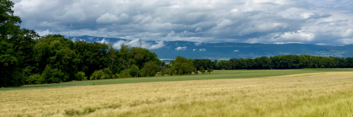 Bitcoin Horizon banner