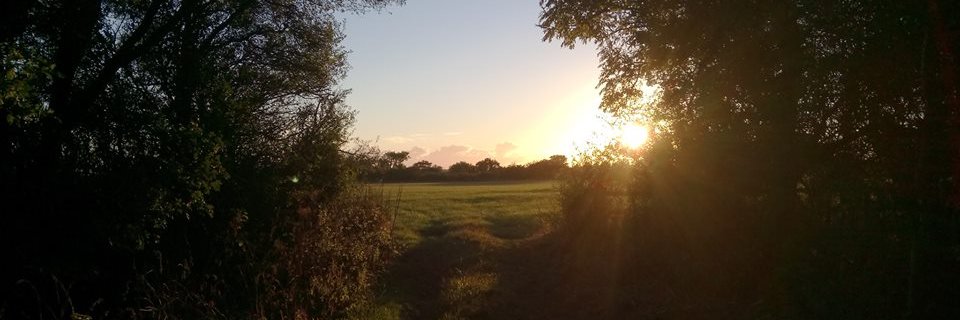 MacdClaire's profile banner image