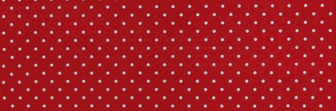 Ana Castillo banner