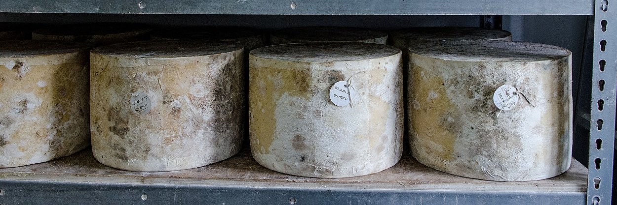 The Cheddar Gorge Cheese Company banner