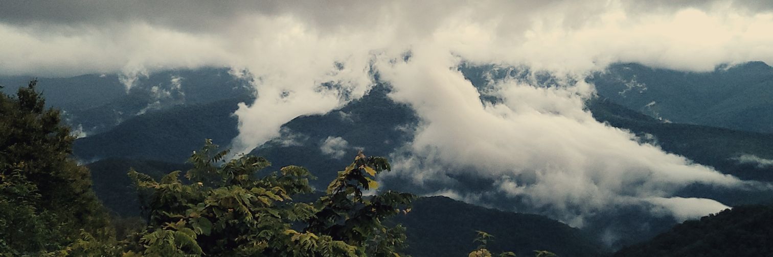 athensrealty_'s profile banner image