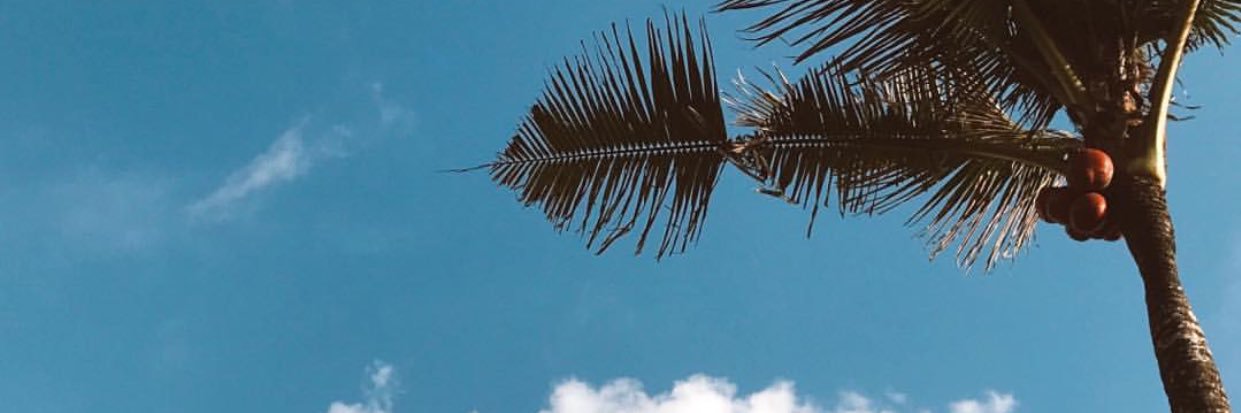 taroaskar's profile banner image