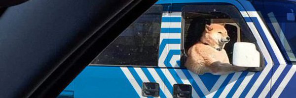 maxirocc Profile Banner