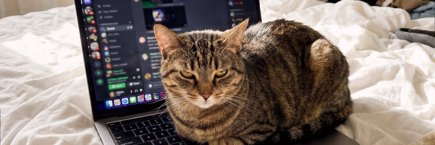 seyeoyede's profile banner image