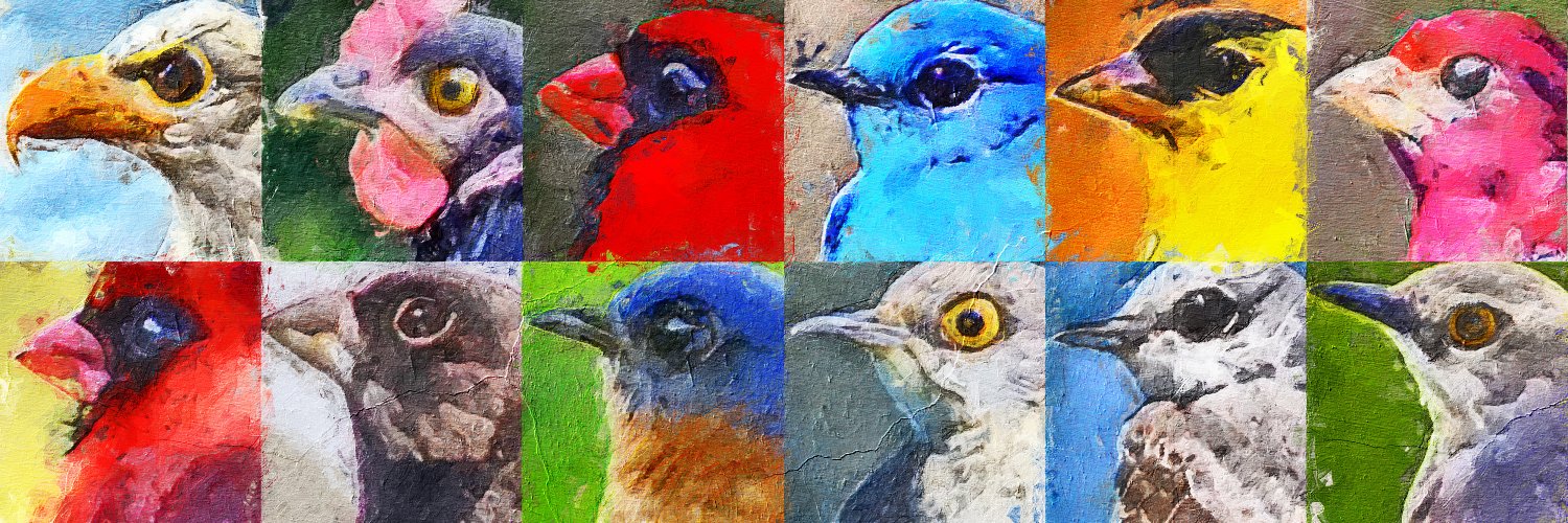 Birds of the USA banner