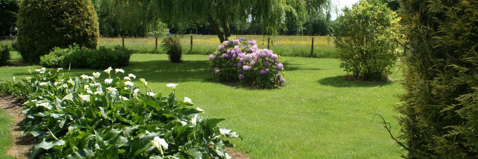 jeandeure's profile banner image