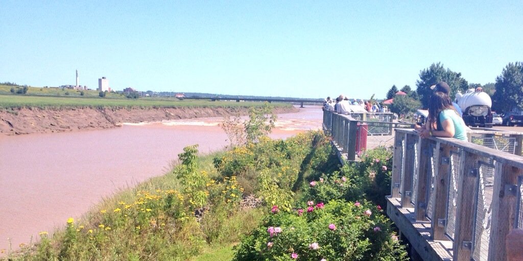 RiverviewVIC's profile banner image