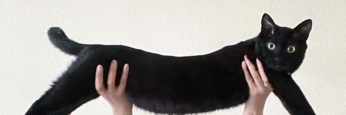 d. banner