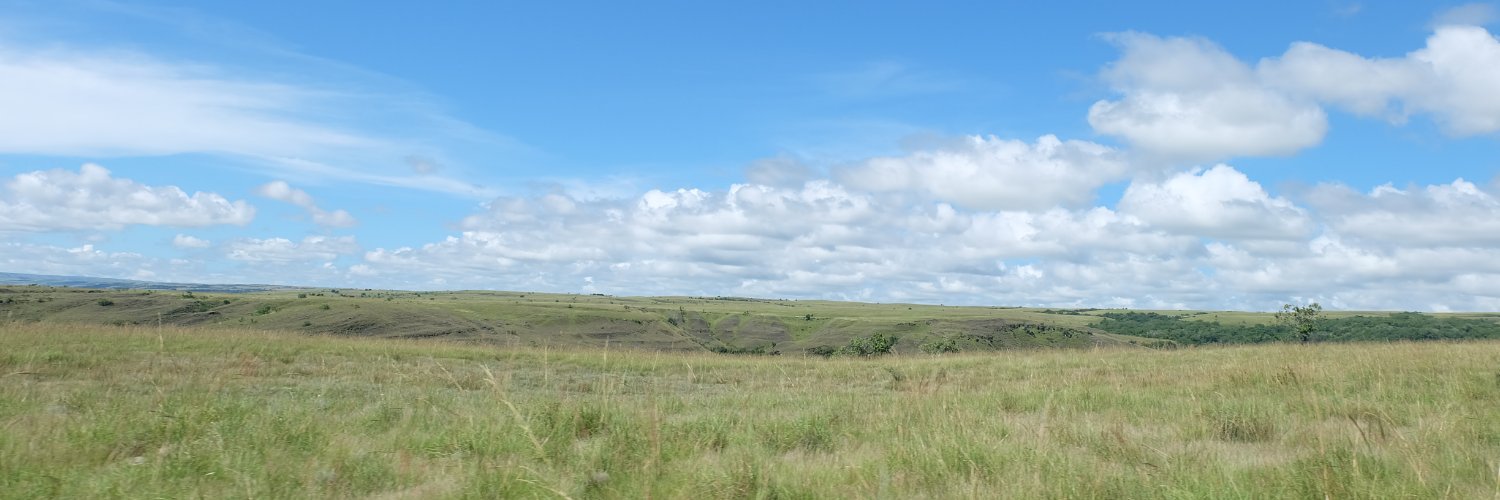 Ellyne banner