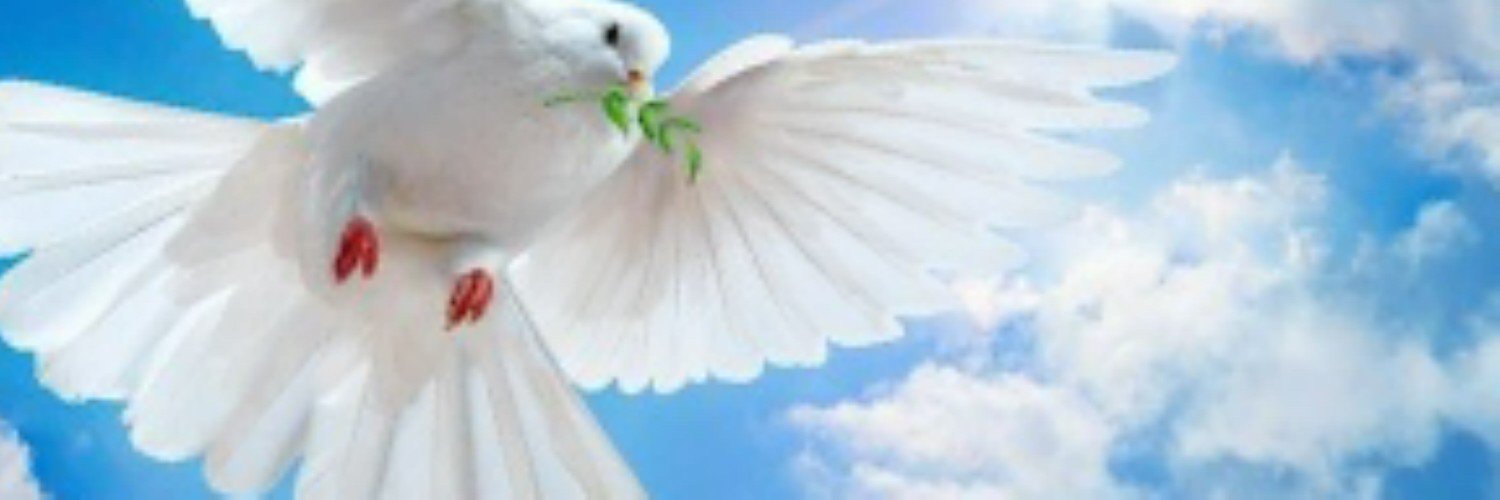 Migcake's profile banner image