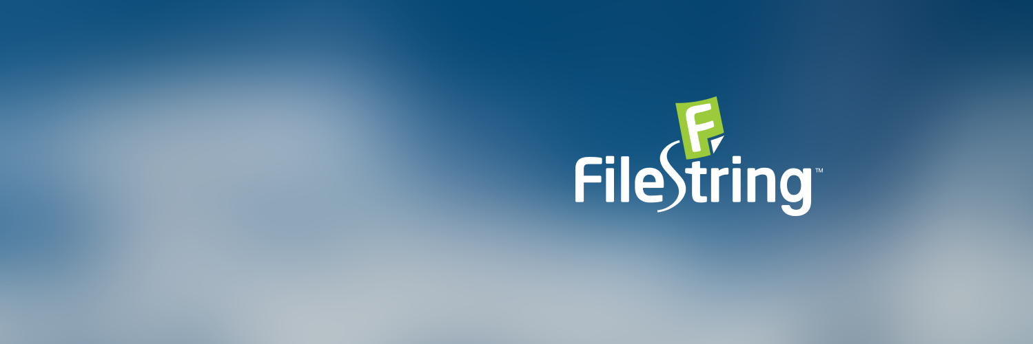 FileString's profile banner image