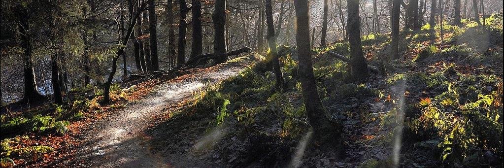 Baisikal's profile banner image