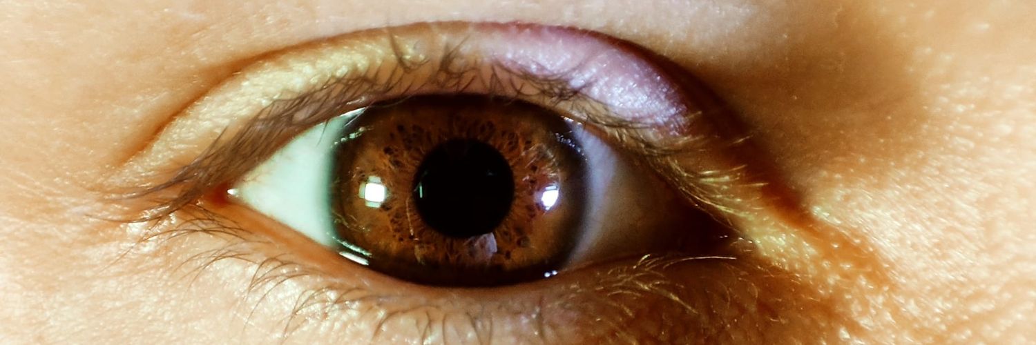 πღ ᴳᴳᴵᴼ banner