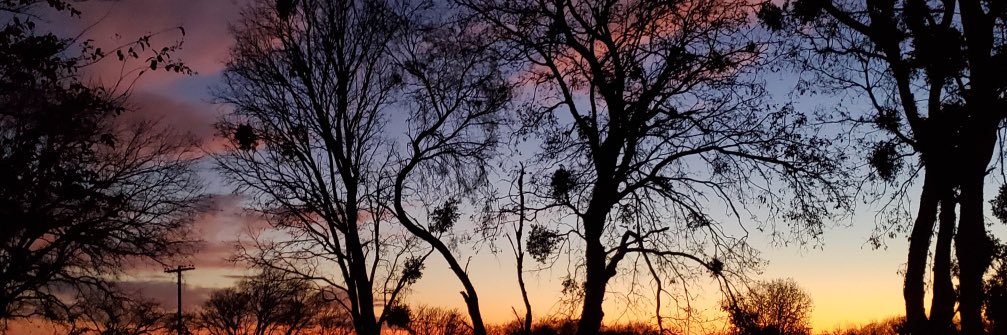 emmmsuarez's profile banner image