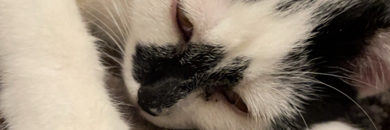 sam_2OO1's profile banner image