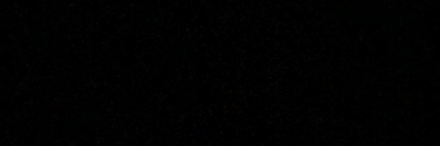 lpzdn95's profile banner image
