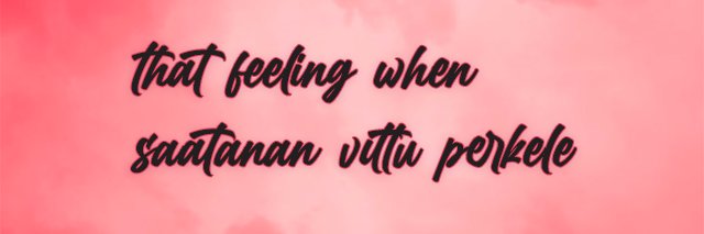 kartofel śląska banner