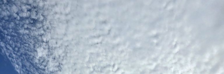 Namtaan さん(●お砂糖さん●) banner