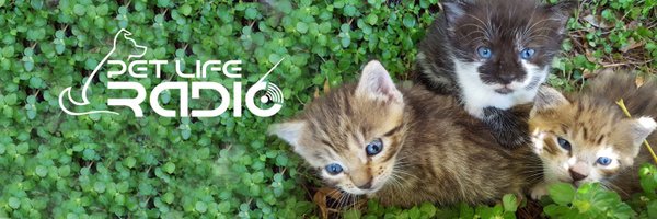 PetLifeRadio Profile Banner