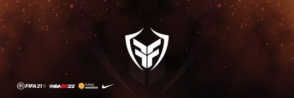FlyFox_gaming_ Profile Banner
