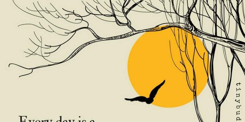 bongvicar's profile banner image