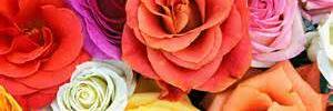 p_salga's profile banner image