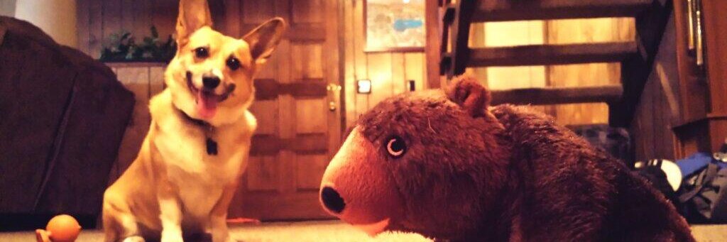 T. Caires Has Left Here banner