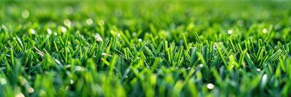 Namgrass Profile Banner