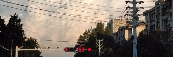 zhaozhaowang3 Profile Banner