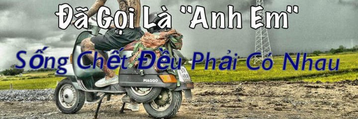 dao phi banner