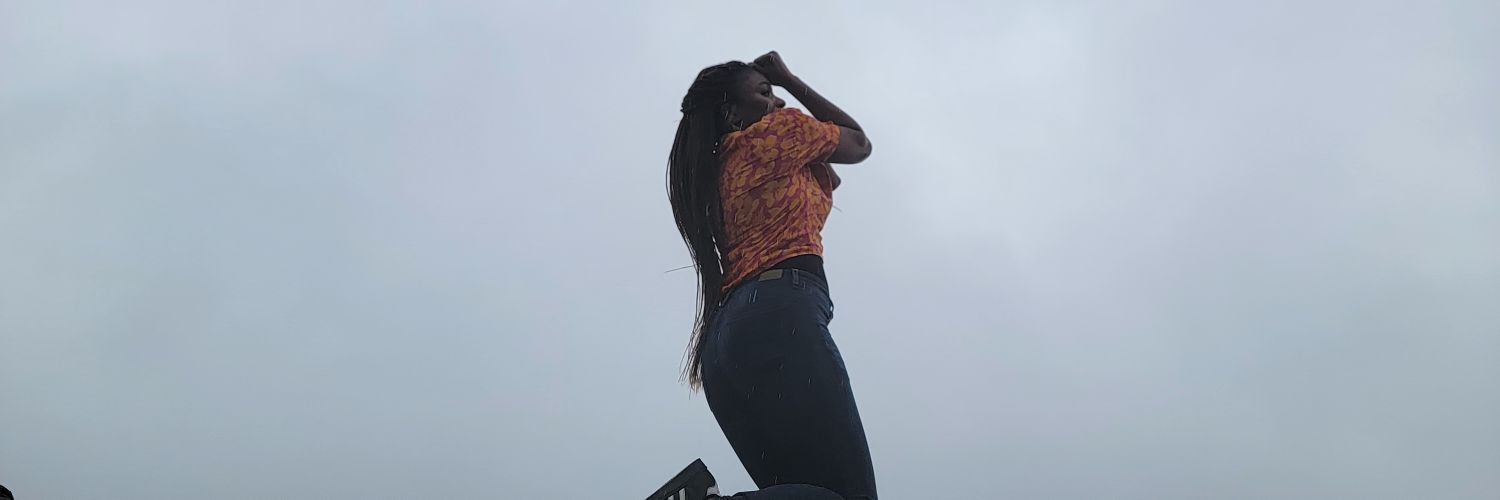 lamiedee's profile banner image