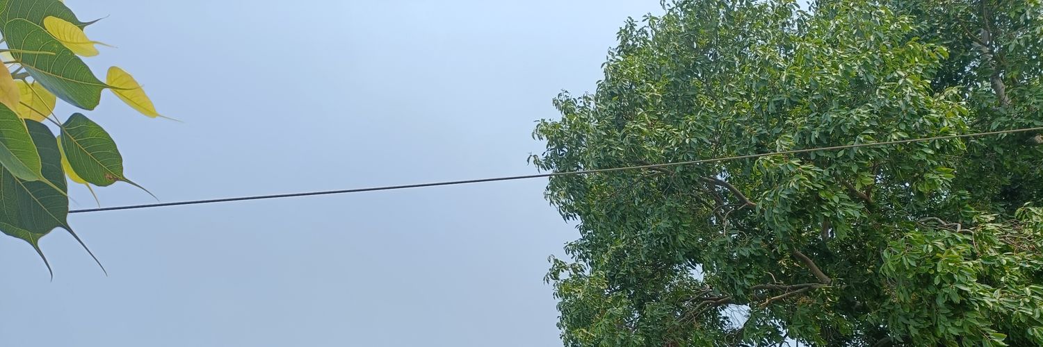 SSDKB611's profile banner image