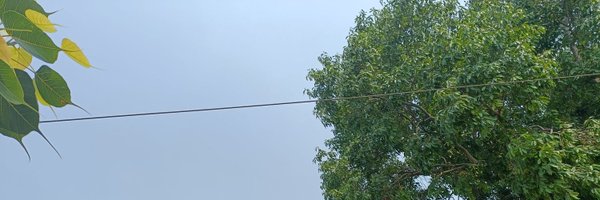 SSDKB611 Profile Banner