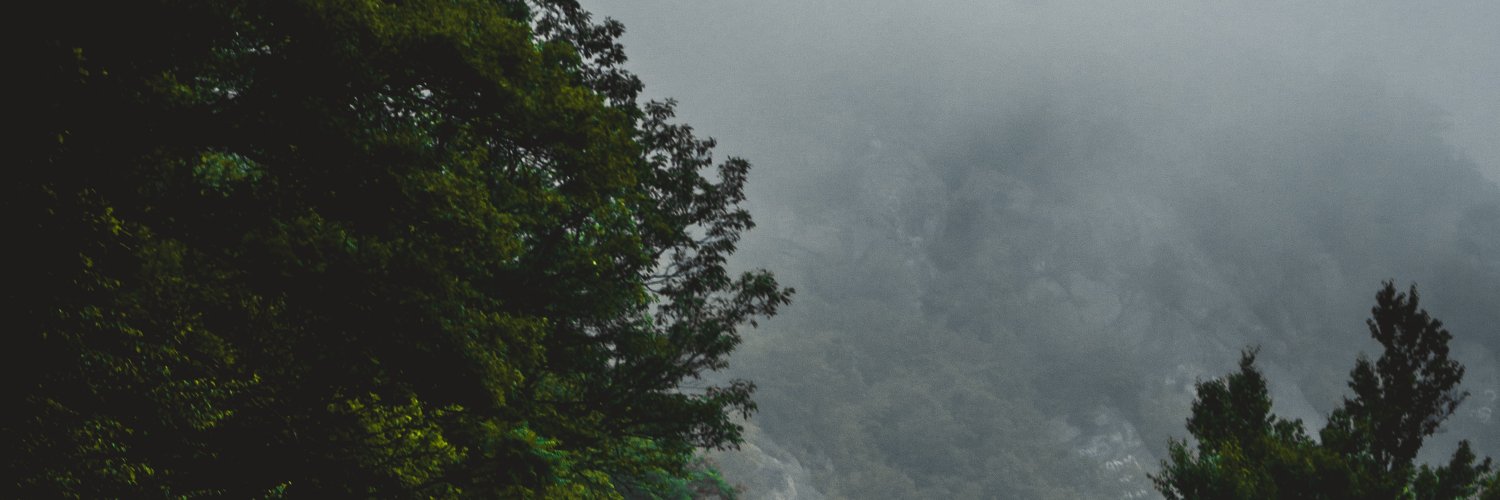 beefstakebest's profile banner image