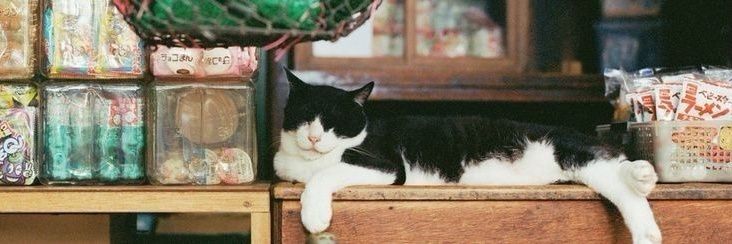 a-sha | mt after dm. banner