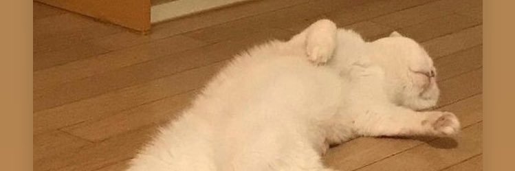 แจ่มเว่อ y//y banner