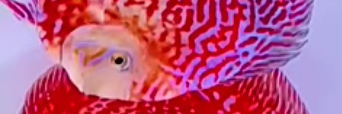 IskandarKen2's profile banner image