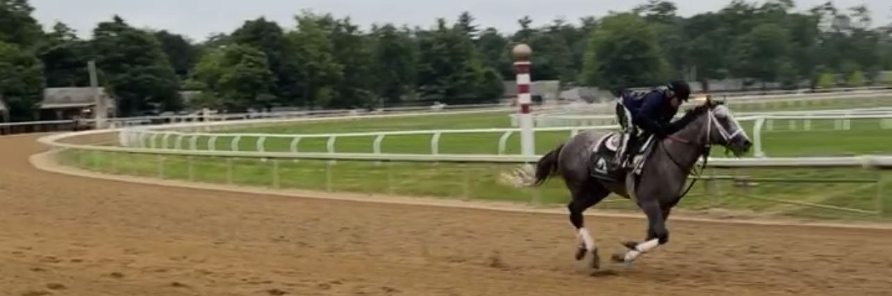 Terrence Frank banner