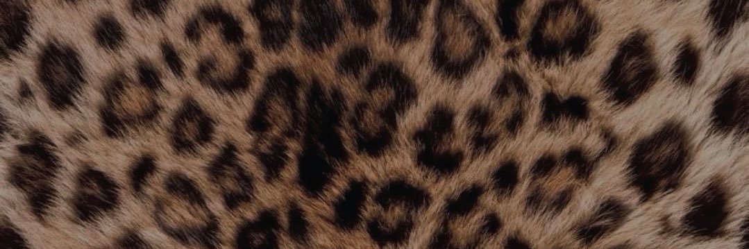 _so0fii_'s profile banner image