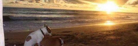 Ratidech's profile banner image