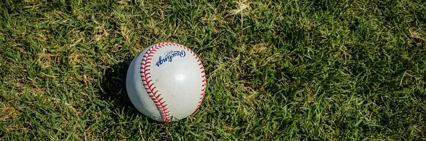 Pendel Baseball banner