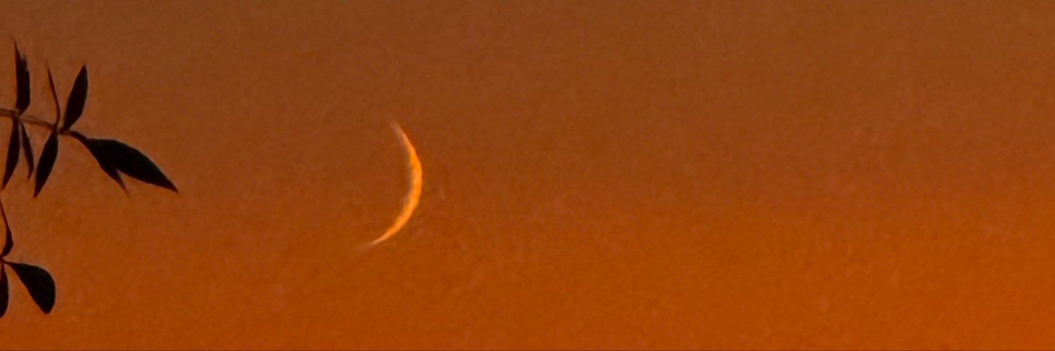 AlexLBAB's profile banner image