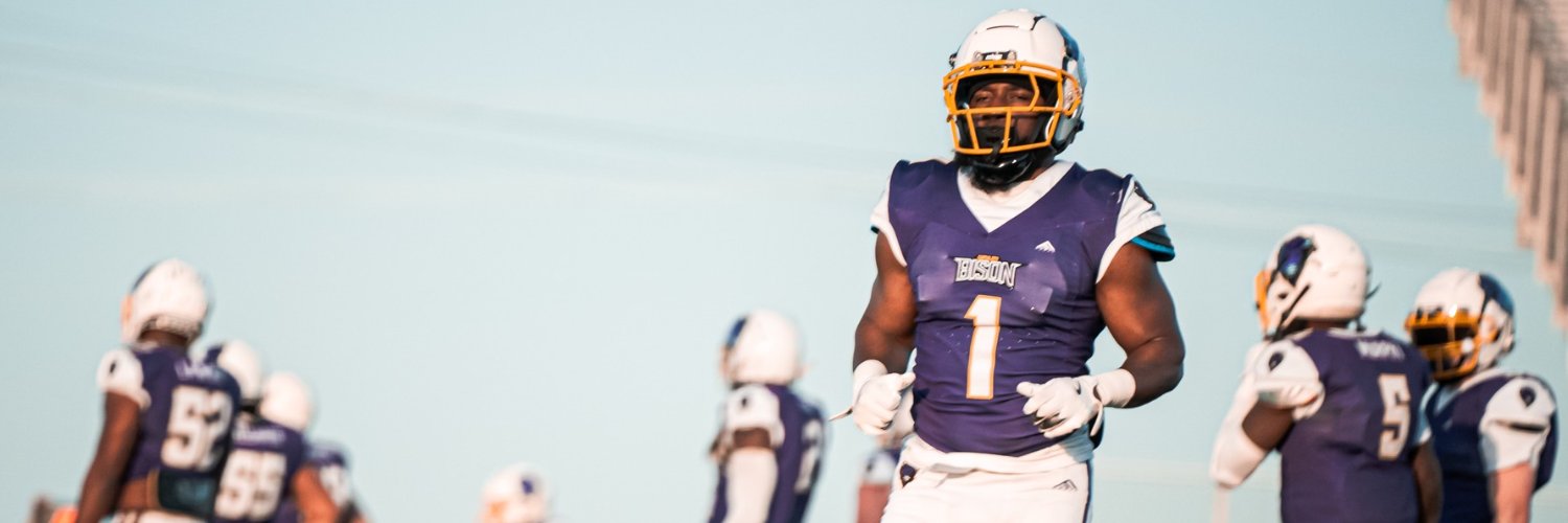 roundrockbison's profile banner image