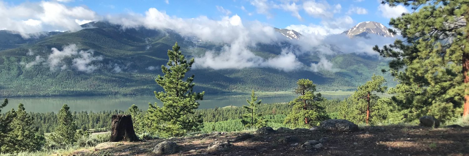 Coach Simpson banner