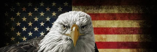 MagicTurtle808's profile banner image