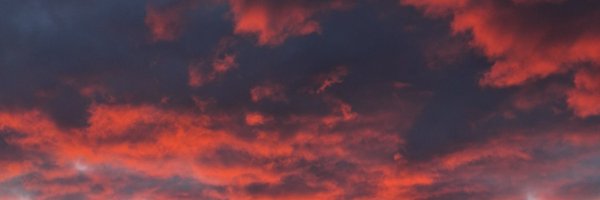 CAD_Abnormality Profile Banner